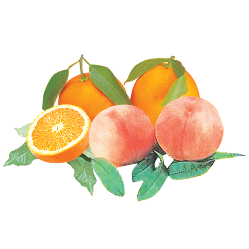 ピーチ&オレンジ