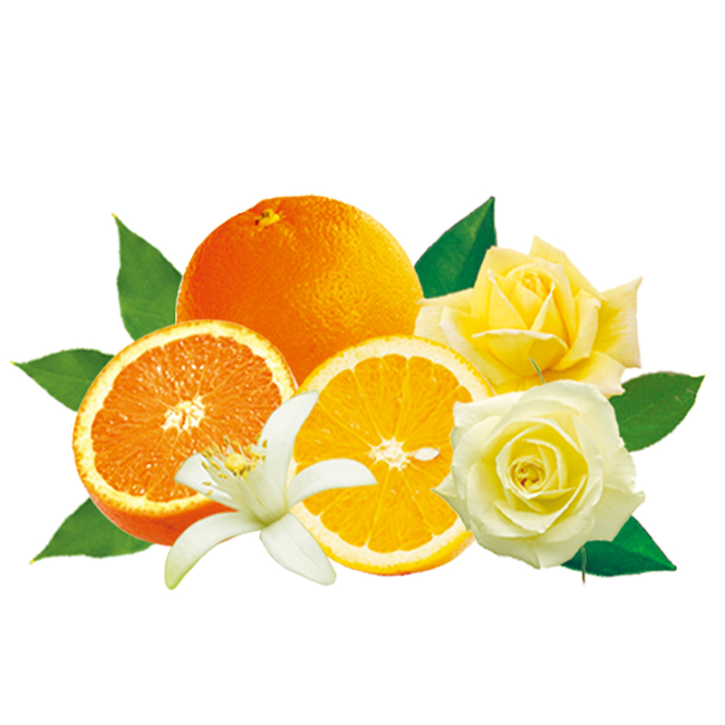 オレンジアクション