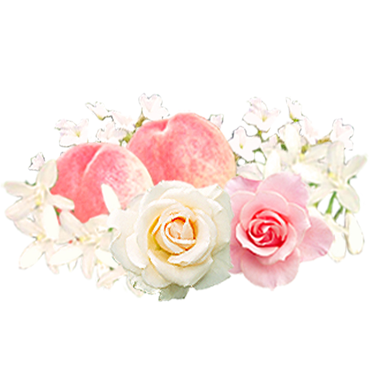 プリンセスティアラ