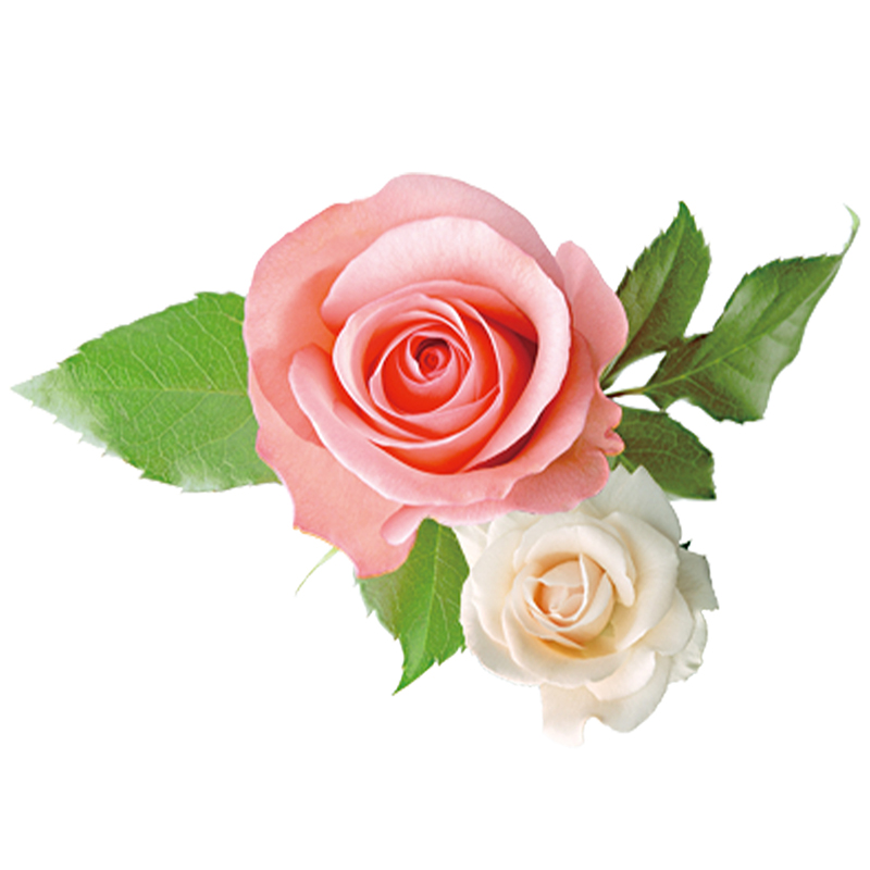 ナチュラルローズ