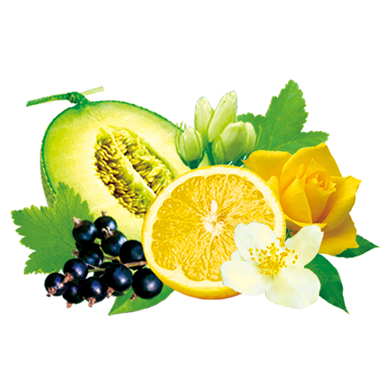 ダンシングブリーズ