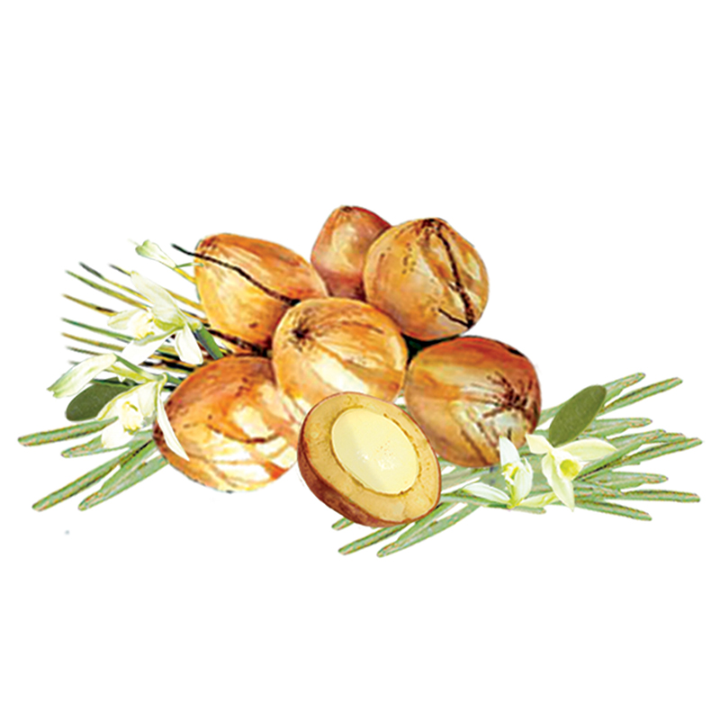 バニラ&ココナッツ