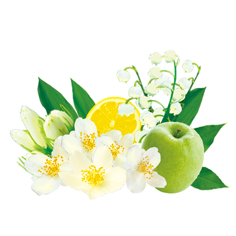 ジャスミン&リリーベル