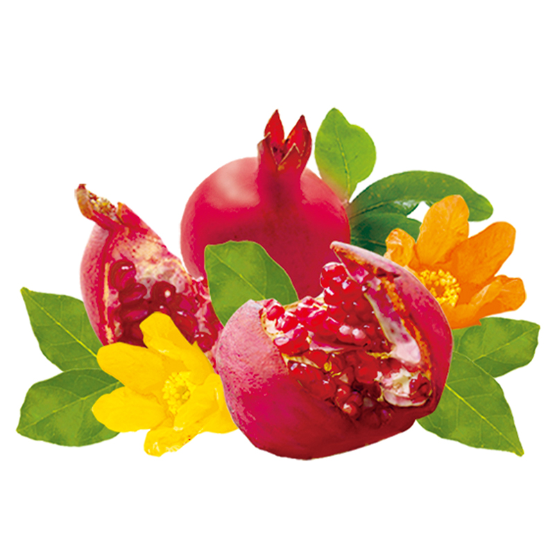 ポミグラニット