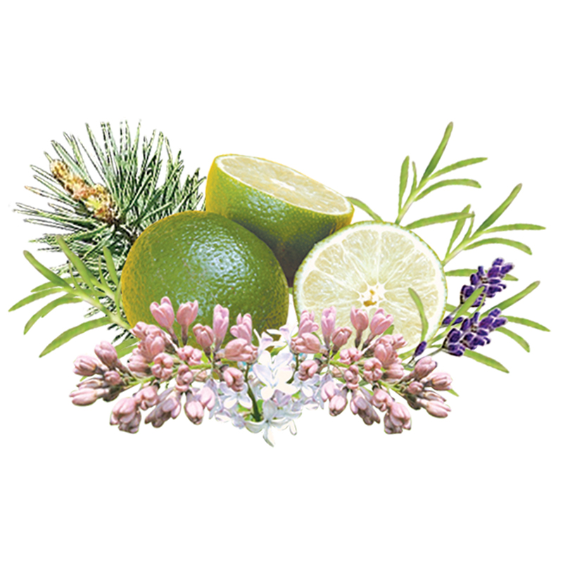 ディープマリン